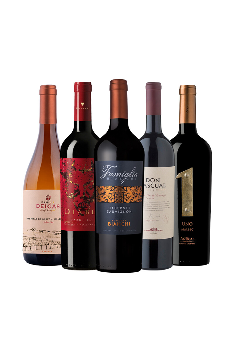 Pack Selección Imperdibles del Mes x5 vinos 