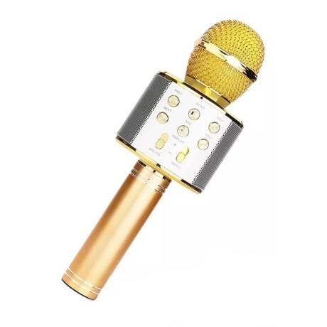 Micrófono Karaoke V01