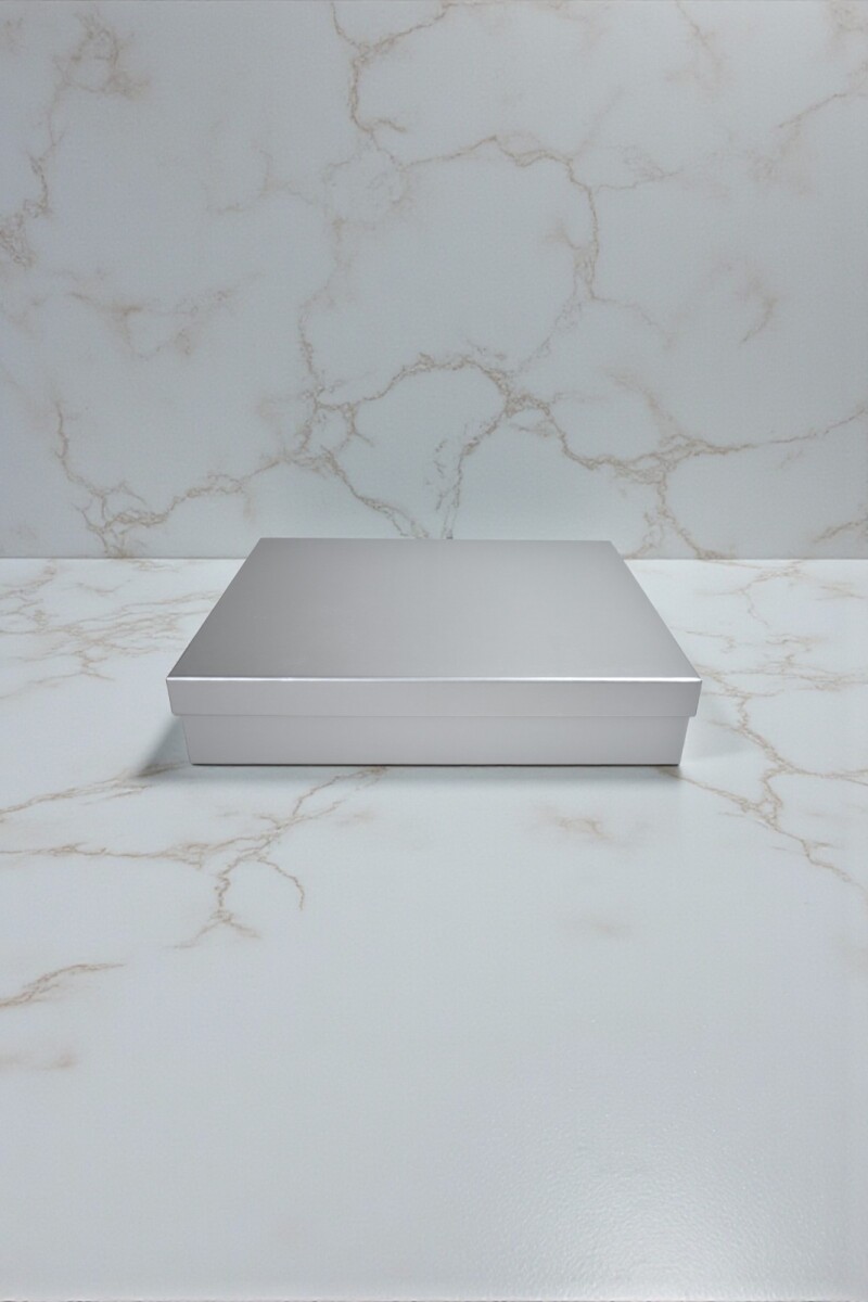 Caja Rigida 21,5 x 31,5 x 5,5 - PLATA 