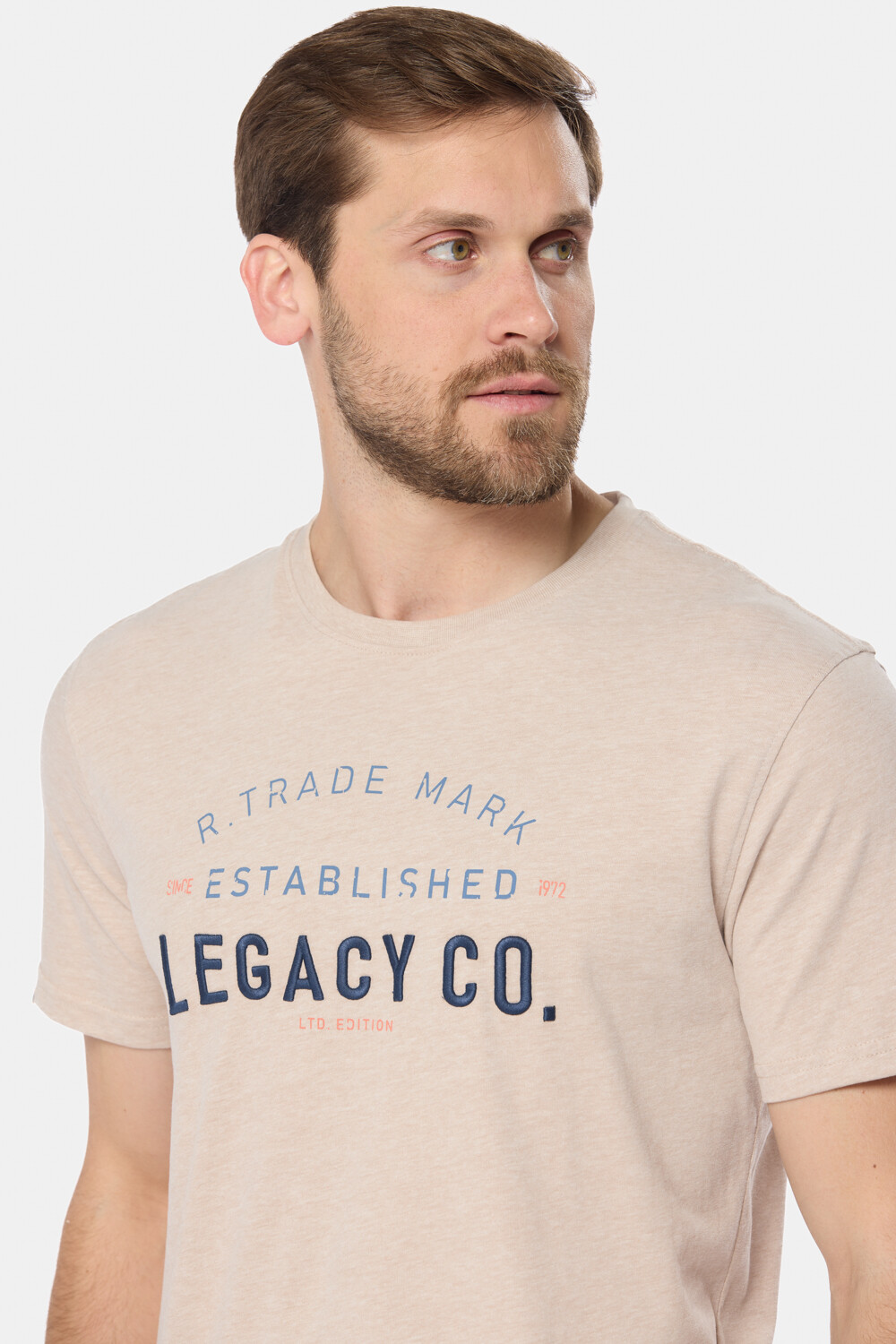 REMERA ESTAMPADA Beige