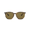 Ray Ban Rb4306l 710/73