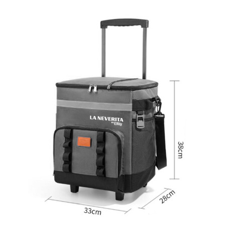 Conservadora Térmica 35l La Neverita Heladerita Carro Gris