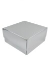 Caja Rectangular 15x16x9 cm PLATA
