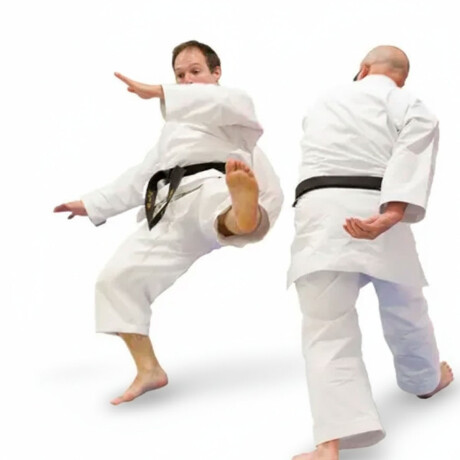 Traje Uniforme De Karate Kimono Karategui Calidad Blanco