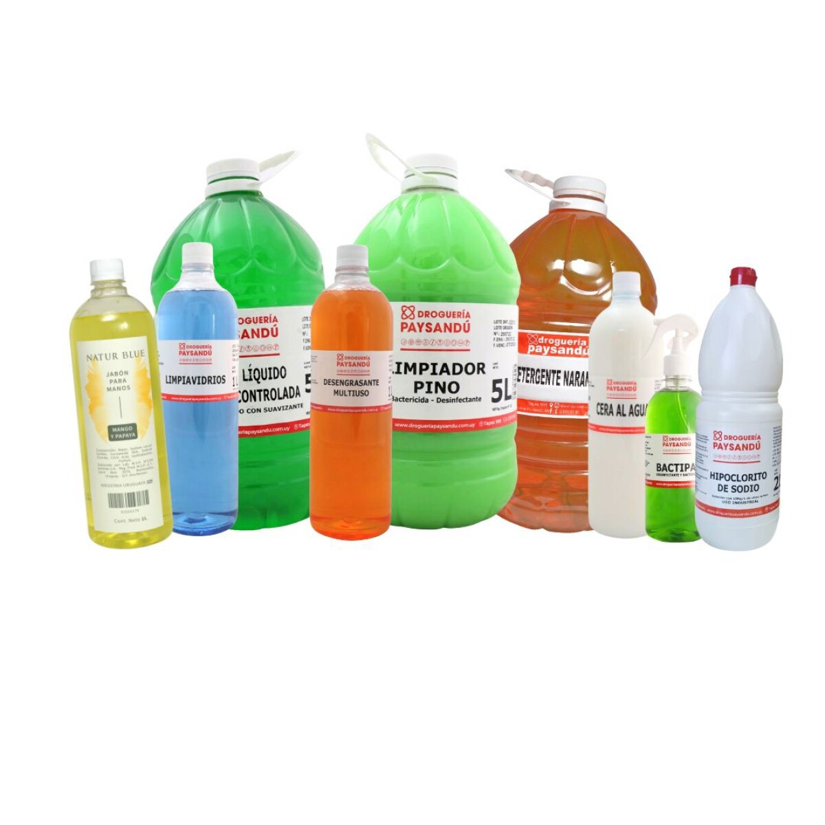 Pack Limpieza TOTAL para el Hogar 