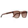 Indie Palm Sepia-marron Degrade