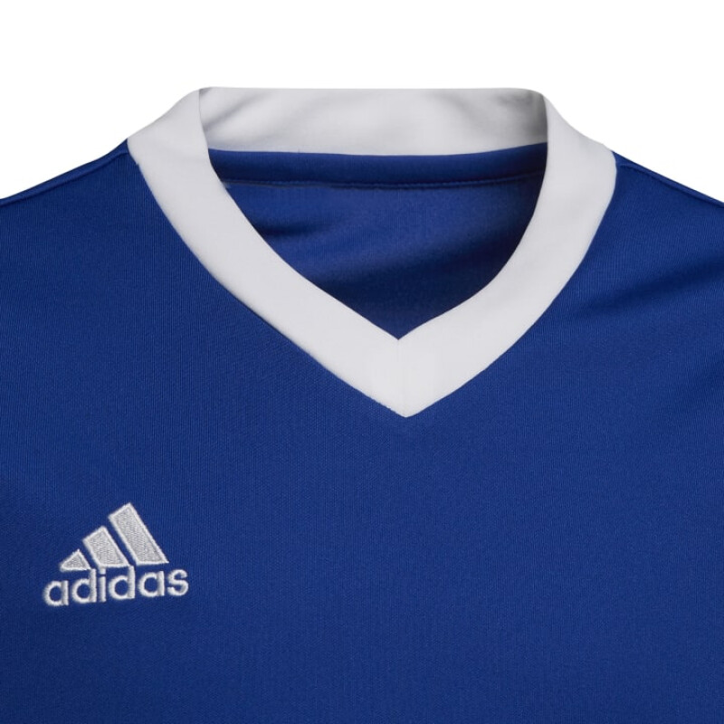 Remera Adidas Entrada 22 de Niños - HG3948 Azul Francia-blanco