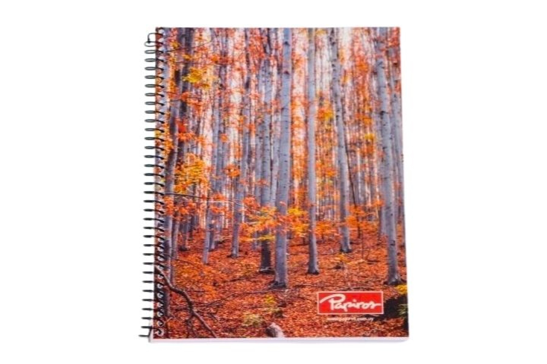 CUADERNO PAPIROS CON ESPIRAL 96 HOJAS 796 - TAPA OTOÑO 