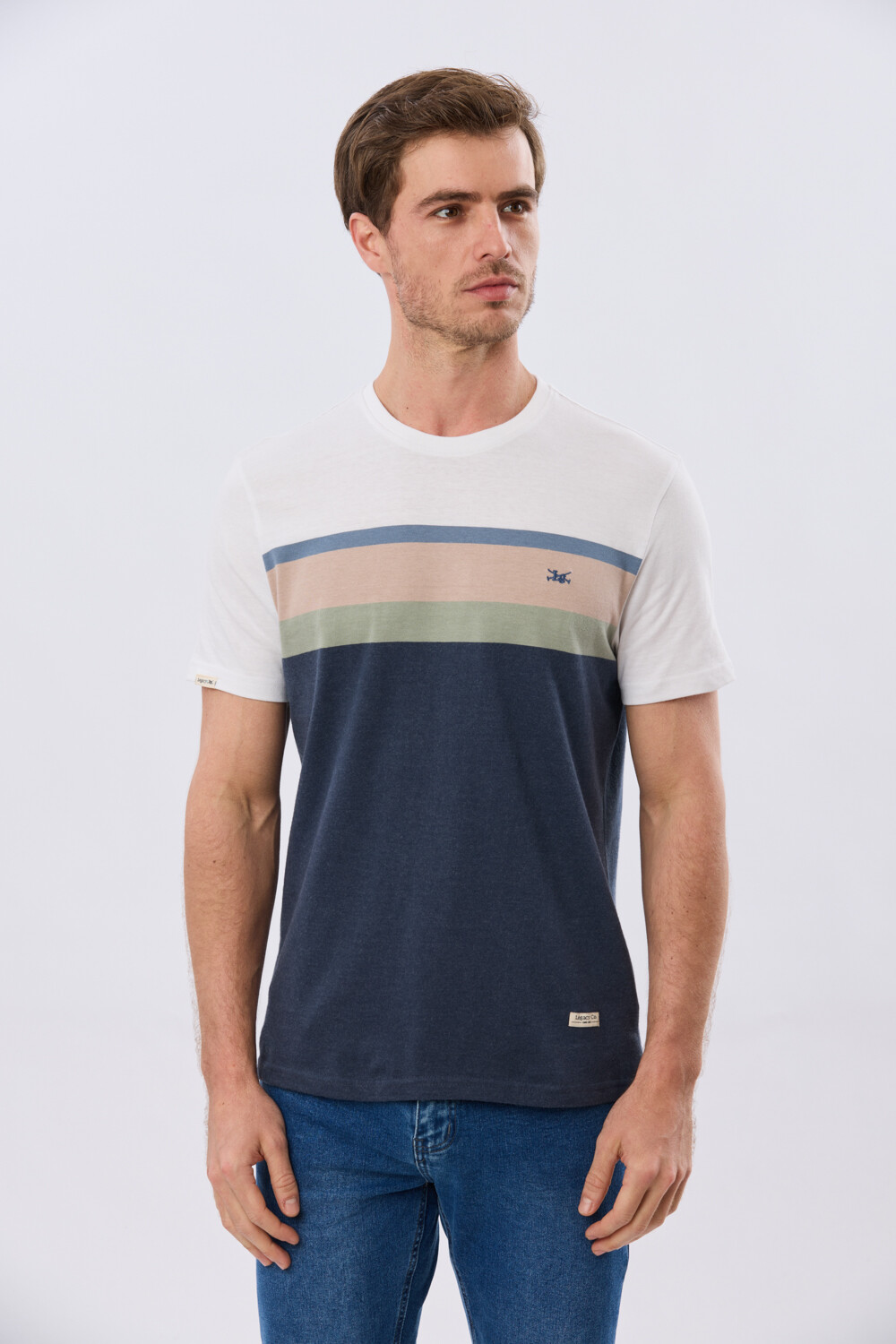 REMERA RAYADA DE ALGODÓN Azul