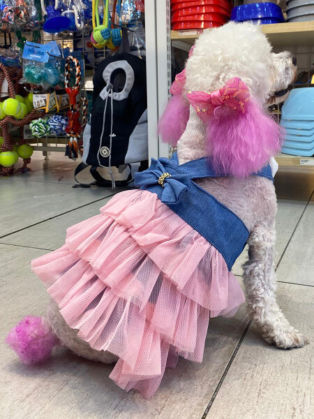 VESTIDO MASCOTA ROSADO