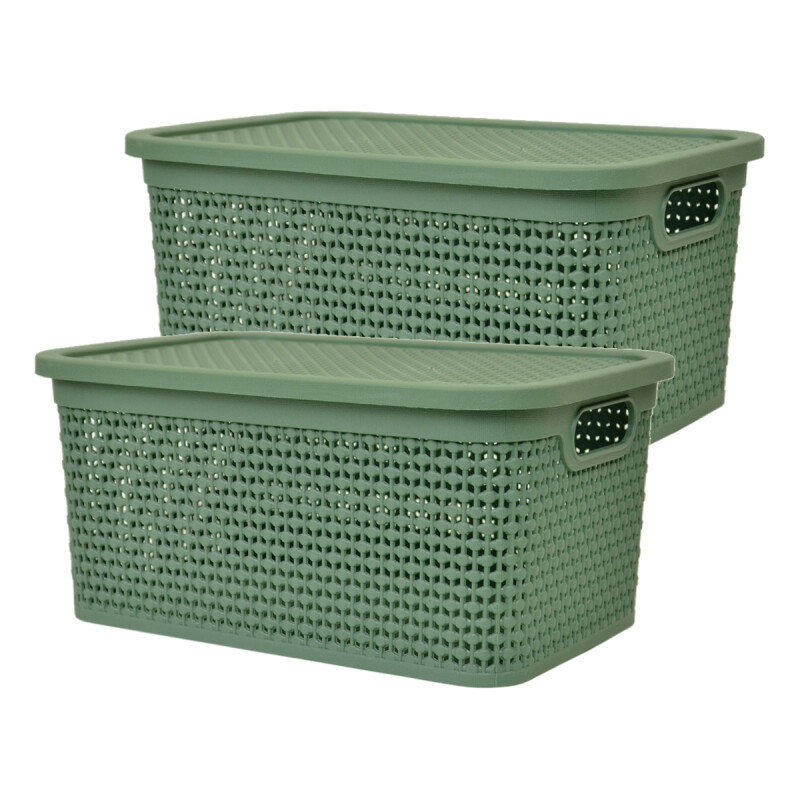 Set x2 Caja simil ratán 4 lts VERDE