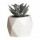 Mini Planta Artificial Decorativa Maceta Rombos en Cemento Gris
