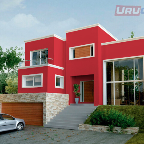 King Latex Latex interior exterior Tomate seco