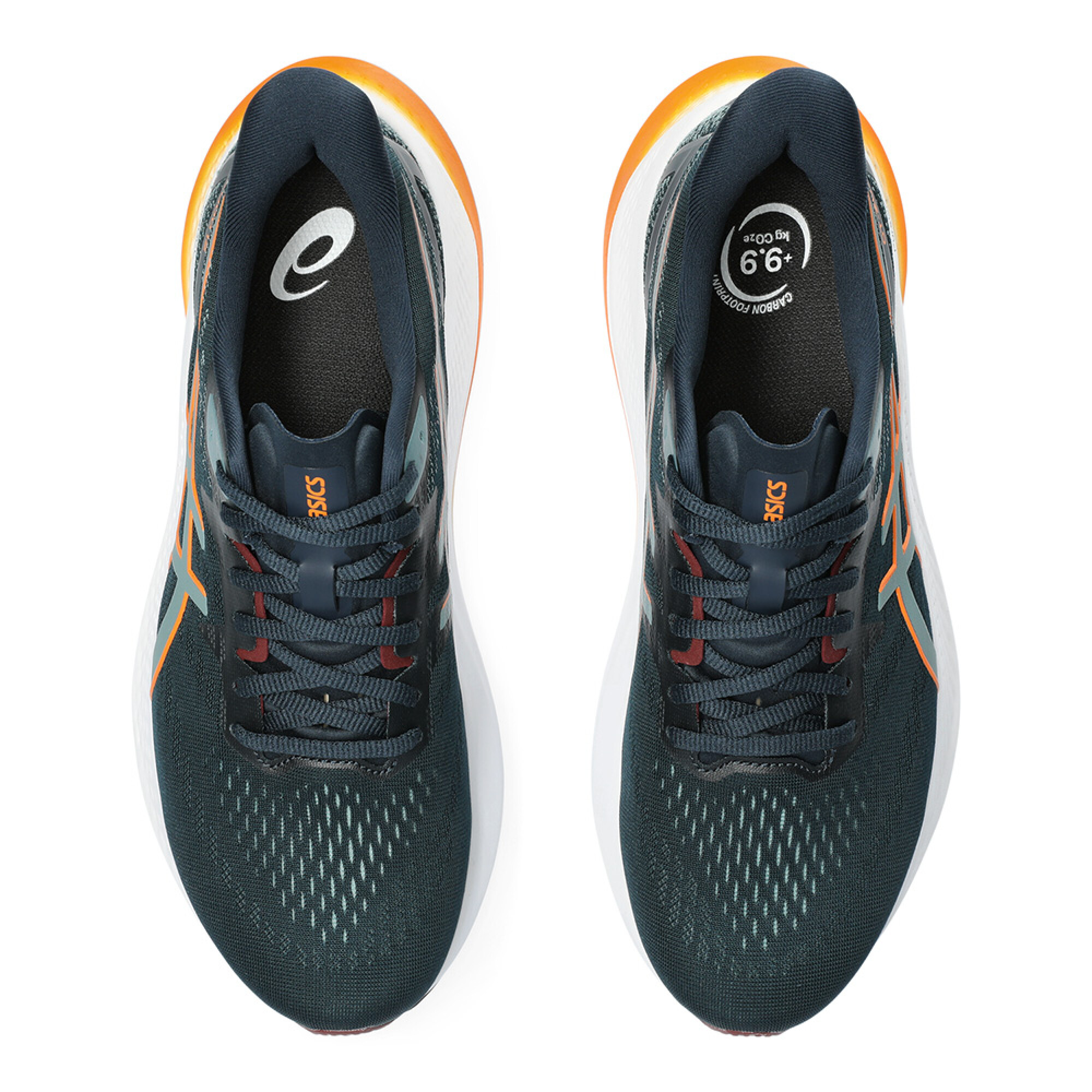 GT 2000 12 Hombre Fitpoint