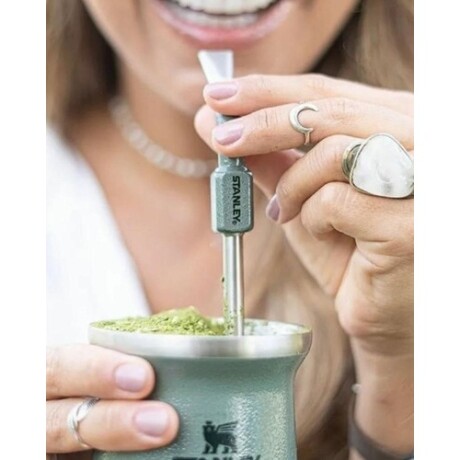 Bombilla en Acero Inoxidable Stanley Spoon Diseño de Flujo Constante Verde