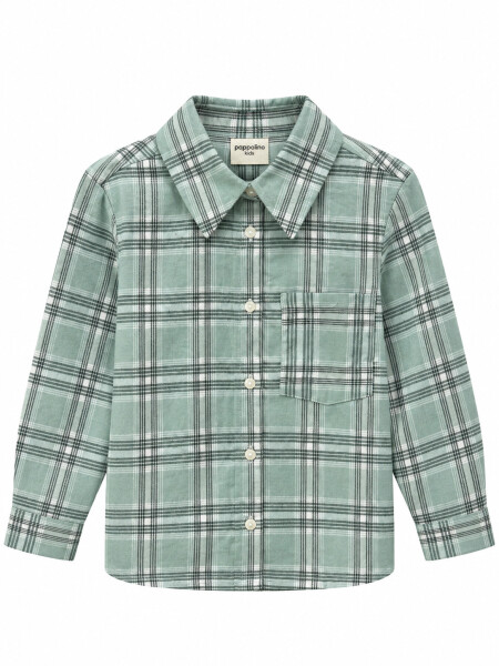 CAMISA PEDRO VERDE