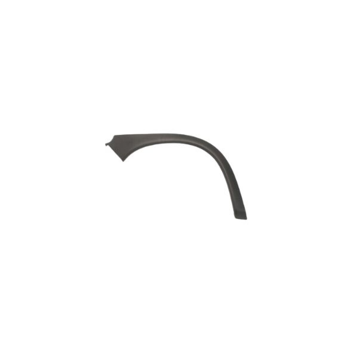 FENDER DE GUARDABARRO TRASERO DERECHO (CORRUGADO) 