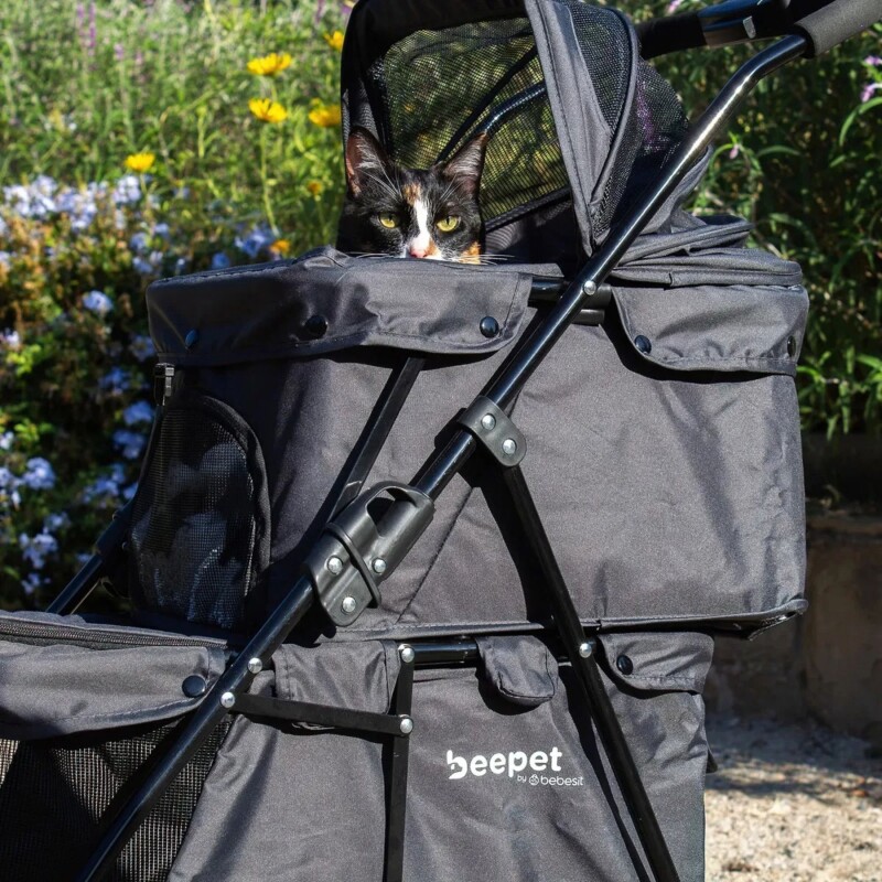 Coche Para Mascota DuoPet de BEEPET Coche Para Mascota DuoPet de BEEPET
