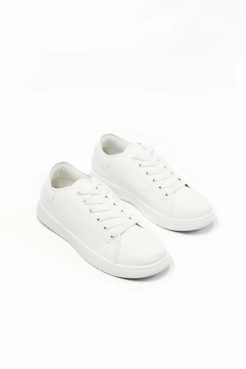 Champion Pavia Blanco
