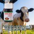 ADICIPER FRASCO 20 ML ADICIPER FRASCO 20 ML