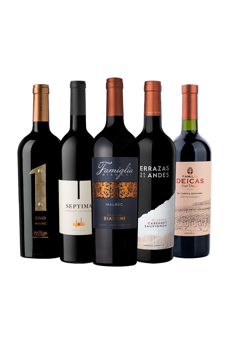 Pack Bacán Favoritos del año: Elección con carácter x5 vinos 