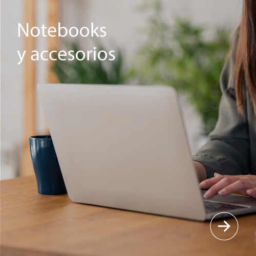 Notebooks y accesorios