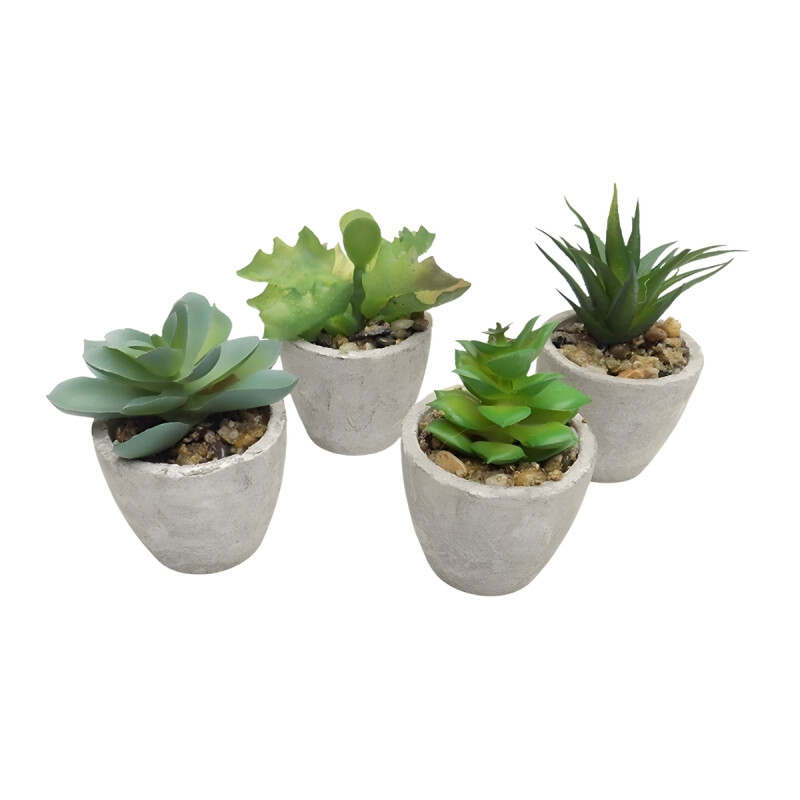 Suculenta decorativa D12CM SURTIDO