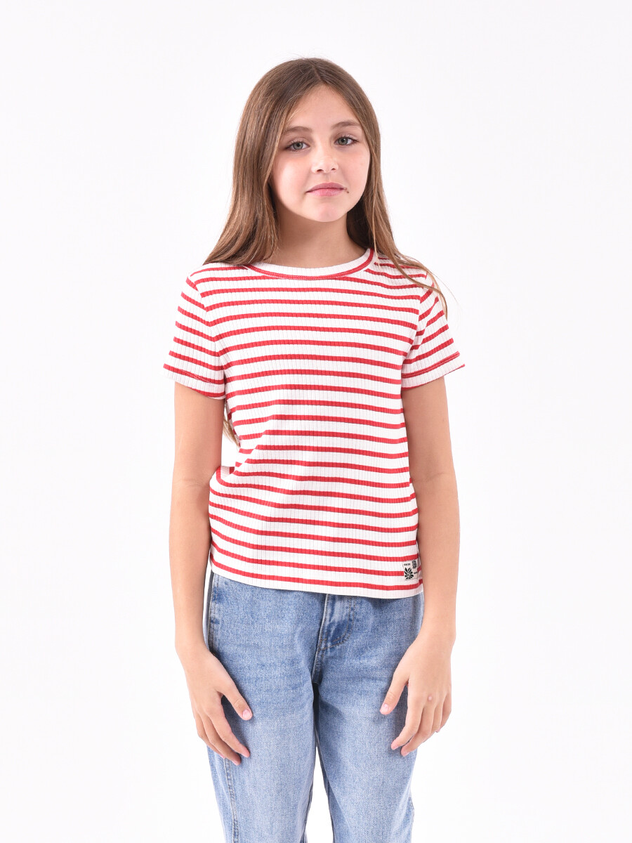 REMERA GUILLERMINA STRIPE - VARIANTE 2 