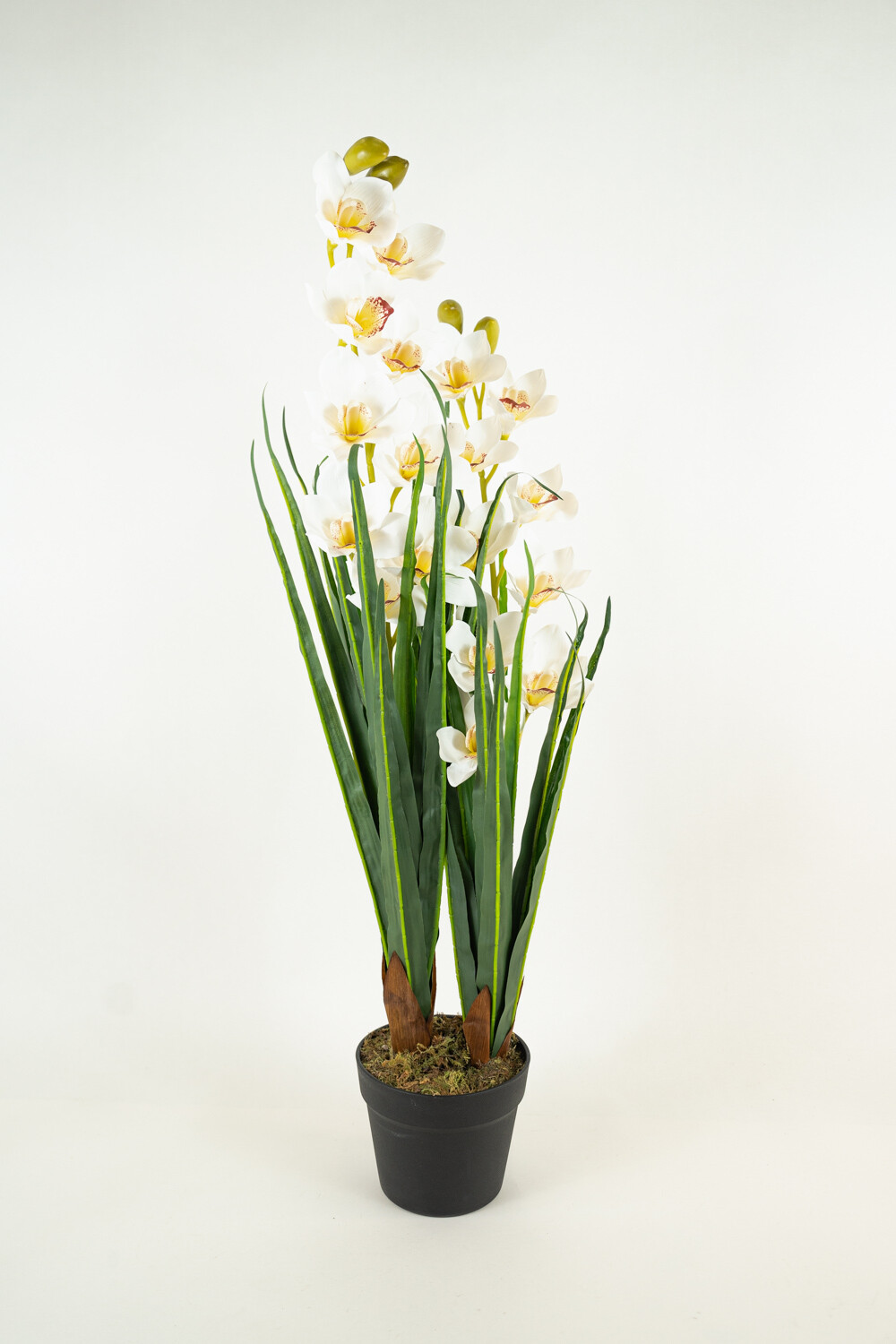 Planta Orchid 90cm Color Unico