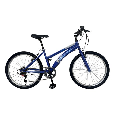 Bicicleta Baccio Alpina Lady Montaña rodado 26 con 6 cambios Violeta