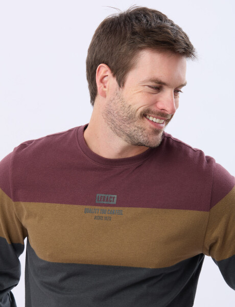 REMERA RAYADA CON ESTAMPA Gris