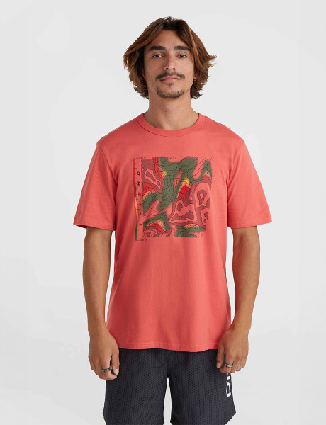 Remera O'Neill TRVLR Pacific Salmón