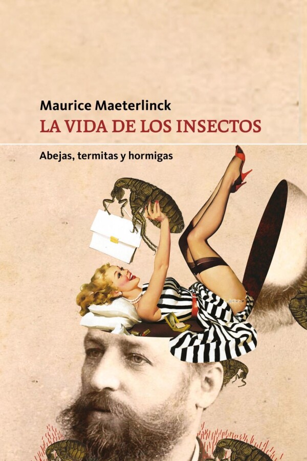 Vida De Los Insectos, La Vida De Los Insectos, La