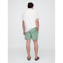 V-6IN SWIM TRUNK GREEN STRIPE