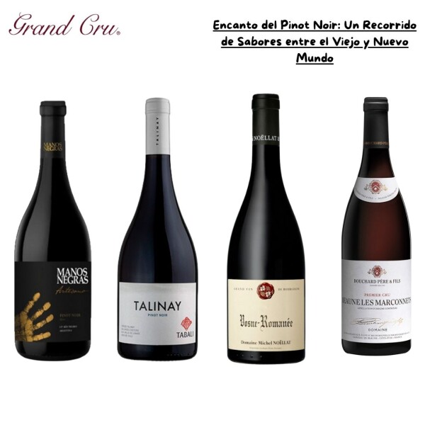 Encanto de Pinot Noir Encanto de Pinot Noir