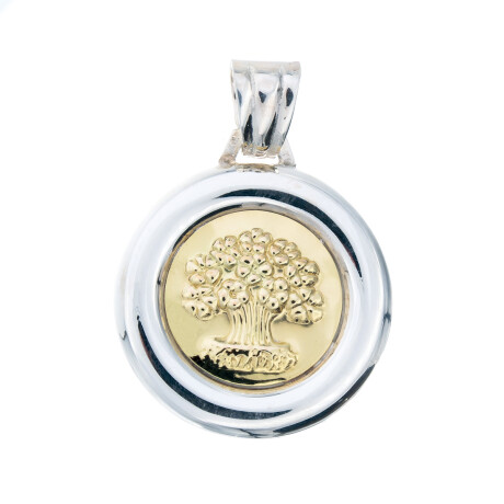 Colgante de plata 925 y double de oro 18 ktes Colgante de plata 925 y double de oro 18 ktes