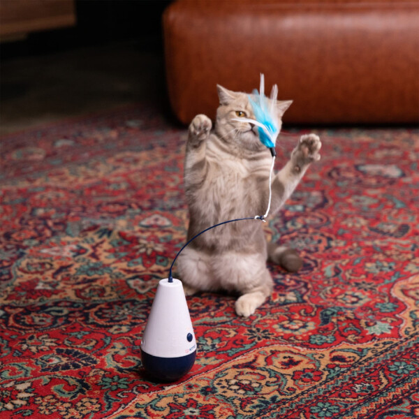 Juguete Interactivo Con Movimiento Gatos Mascotas Kittio Juguete Interactivo Con Movimiento Gatos Mascotas Kittio
