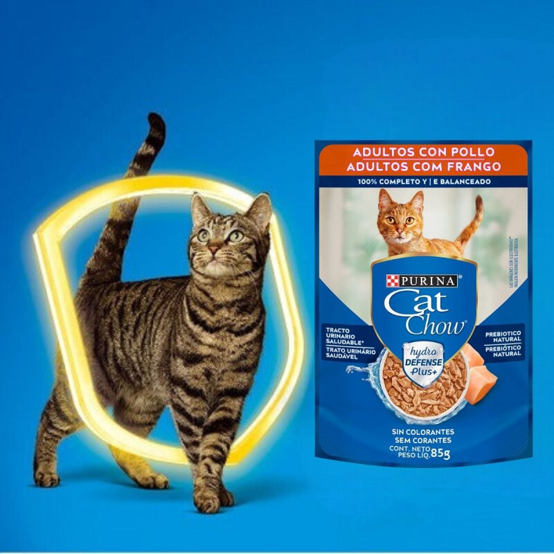 CAT CHOW EN SALSA ADULTOS POLLO 85 GRS