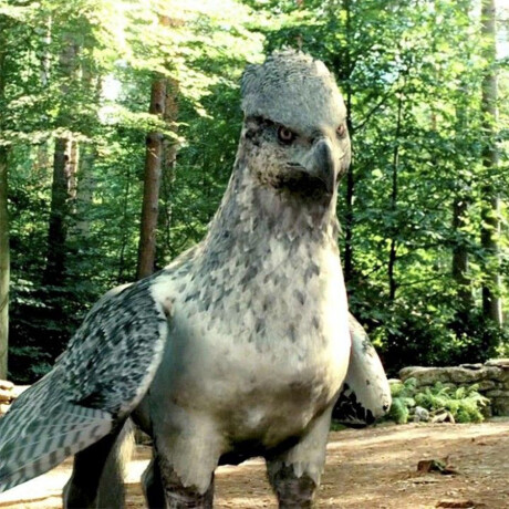Buckbeak Fantastic Beasts [Exclusivo Flocked] - 104 Buckbeak Fantastic Beasts [Exclusivo Flocked] - 104