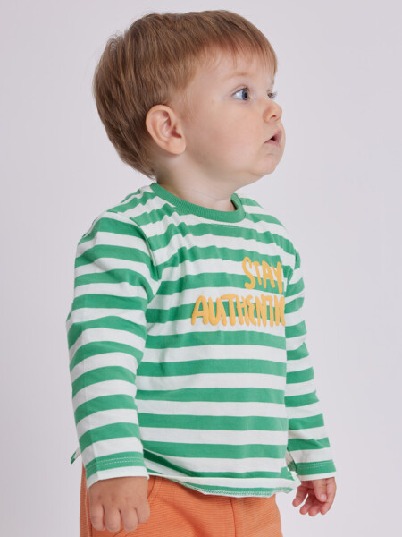 Remera estampa Verde