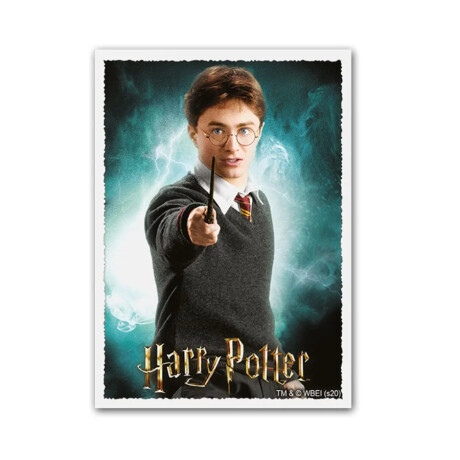 Dragon Shield: 100 Standard Sleeves Dual Art - Wizarding World - Harry Potter Dragon Shield: 100 Standard Sleeves Dual Art - Wizarding World - Harry Potter