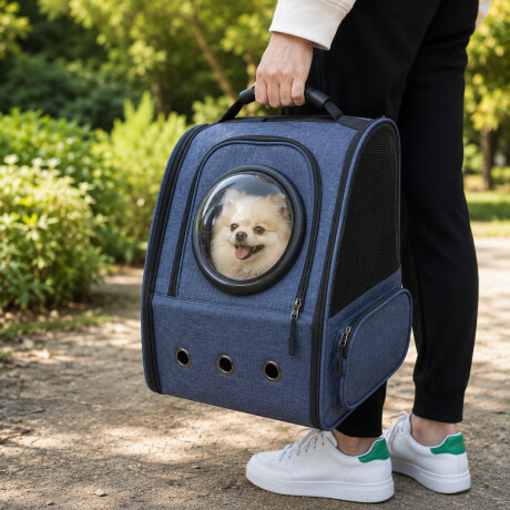 Mochila Transportadora De Mascotas Capsula + Rejilla + Base Azul