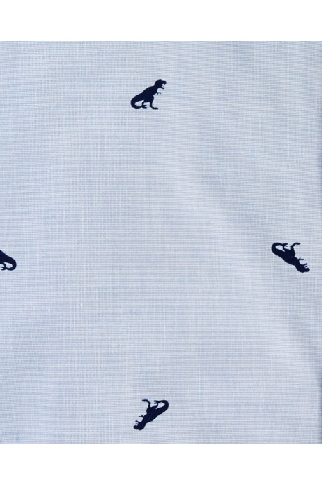 Camisa de algodón manga larga diseño t-rex. Talles 2-5T Sin color