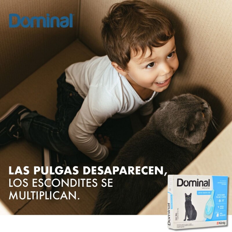 PIPETA ANTIPULGAS Y ANTIGARRAPATAS DOMINAL GATOS KONIG HASTA 4 KG