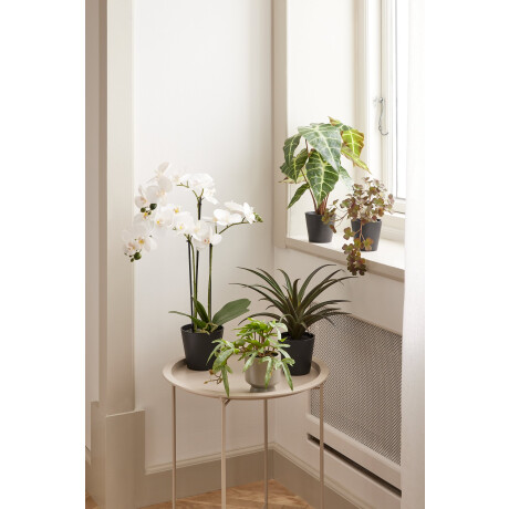Planta Artificial Marius Ø38Xa42Cm