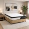 Sommier 2 Plazas THM Cobalt Smart Box Beige