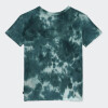 Remera Vans Cloud Wash Logo Verde