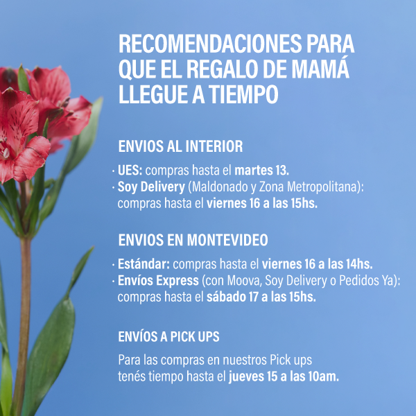 envios día de la madre