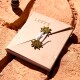 Cuaderno One piece Cuaderno One piece