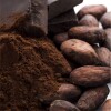 Tableta de Chocolate Amargo HAAS Dark 70% Cacao Sin Azúcar Naranja 100 GR Tableta de Chocolate Amargo HAAS Dark 70% Cacao Sin Azúcar Naranja 100 GR
